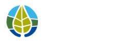 Pathways To Wellness